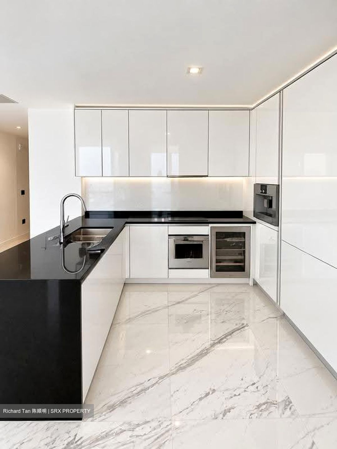 Wallich Street (D2), Condominium #626002911